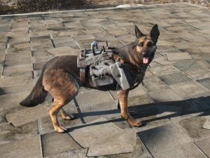 light dog armor dogmeat