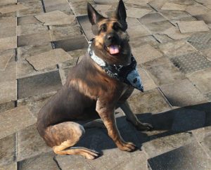 light-dog-armor-dogmeat-7