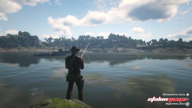 Rdr 2 синежаберник где водится