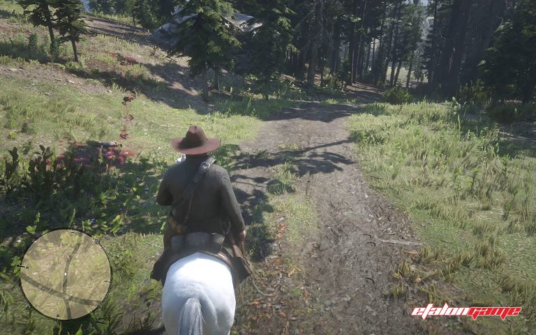 Rdr 2 можно ли спасти мистера уэйна