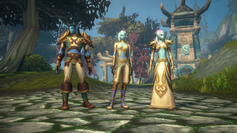 Персонажи новой расы World of Warcraft: Forever