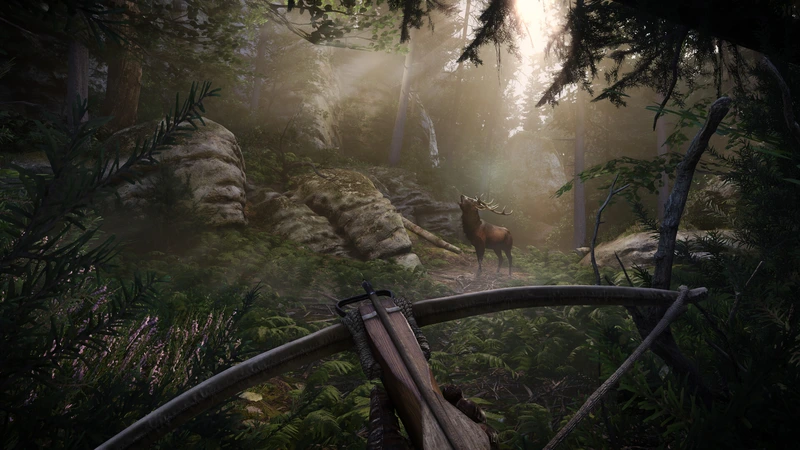 Jagd mit einer Armbrust im Wald in Kingdom Come: Deliverance II