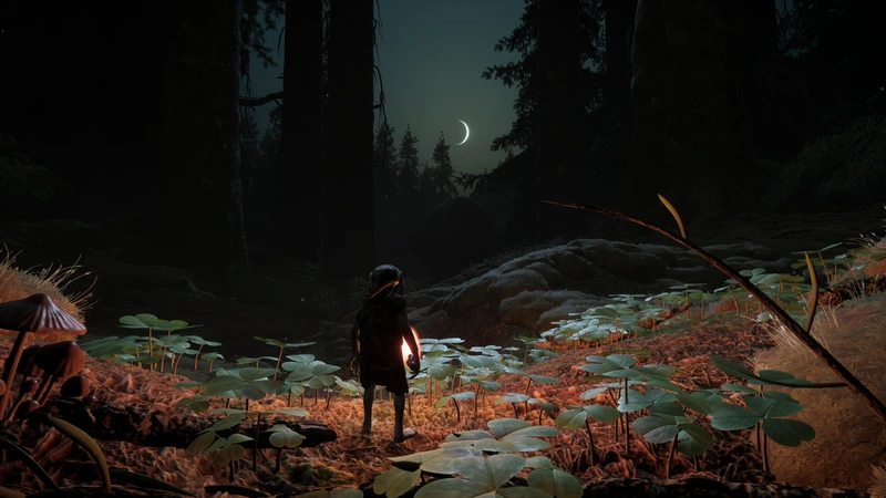 Trollheim: Gnomes: Гном исследует ночной лес в Trollheim: Gnomes