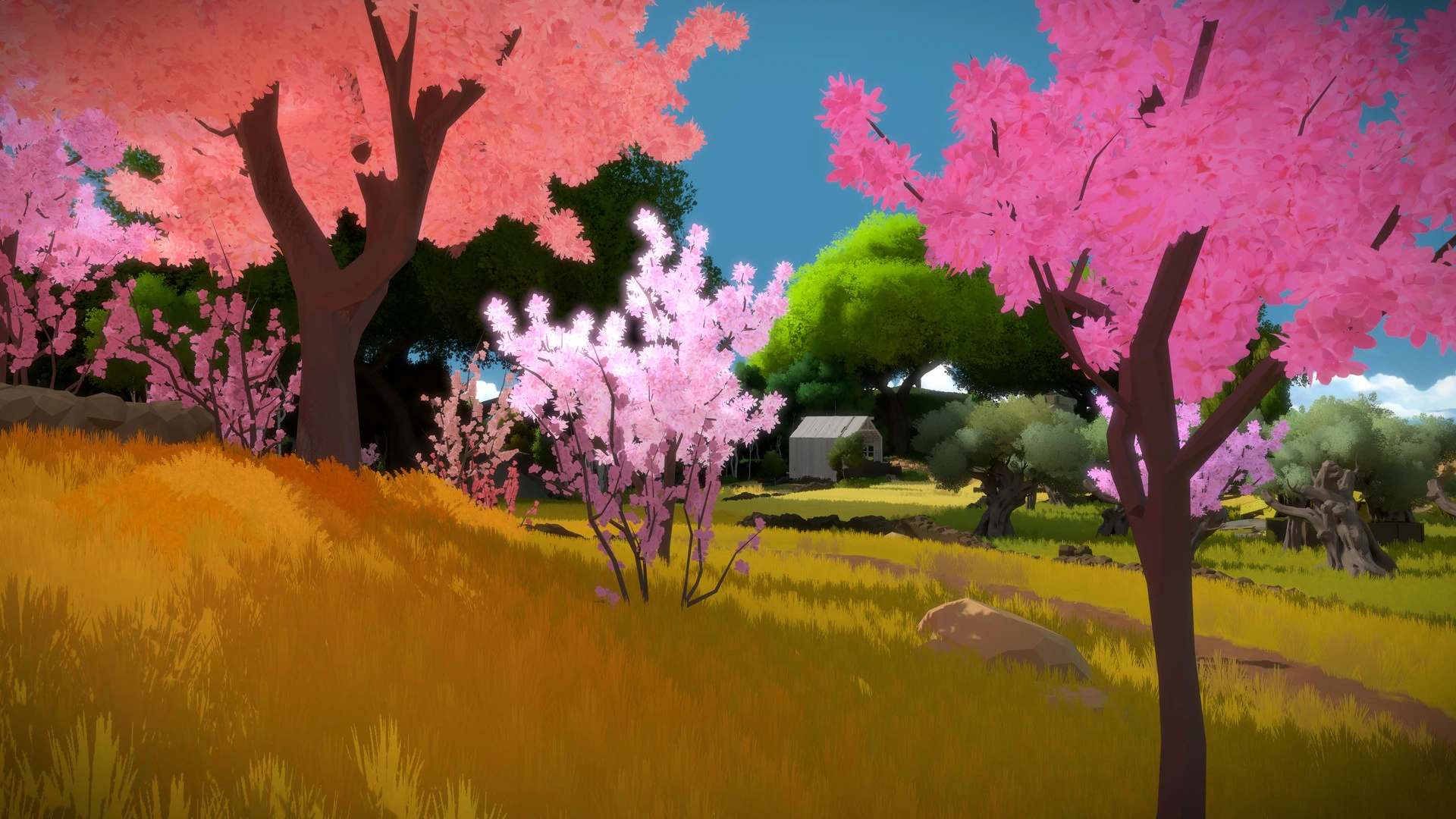 Скриншот игры The Witness